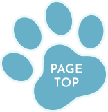 PAGETOP肉球アイコン